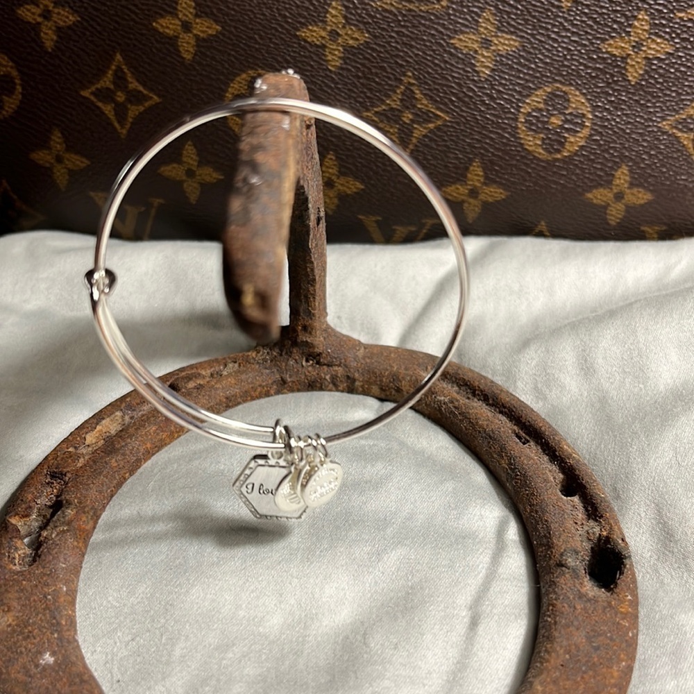 Alex and Ani Silver Charm Bracelet